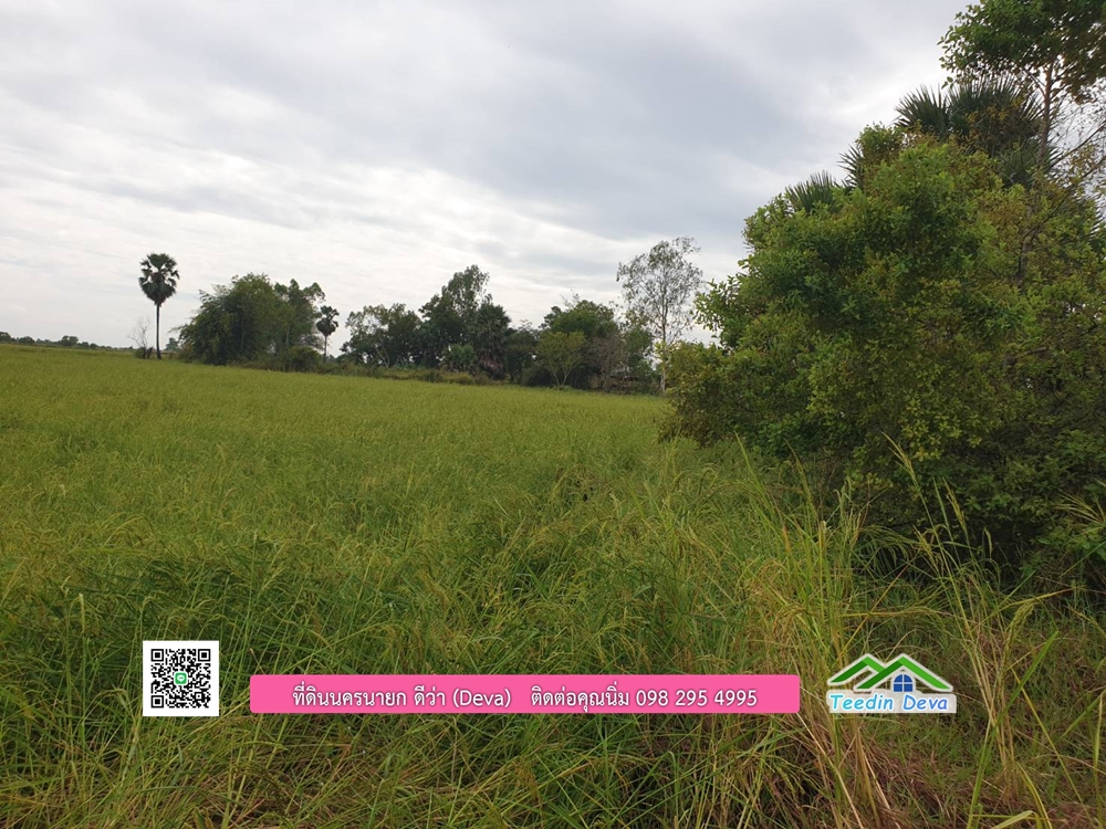 ที่ดินแปลงสวย ราคาถูก เนื้อที่ 33-1-67 ไร่ ราคาไร่ละ 250,000 บาท การเดินทางสะดวก อยู่ใกล้จุดชมนกเหยี่ยวหูดำ อ.ปากพลี จ.นครนายก