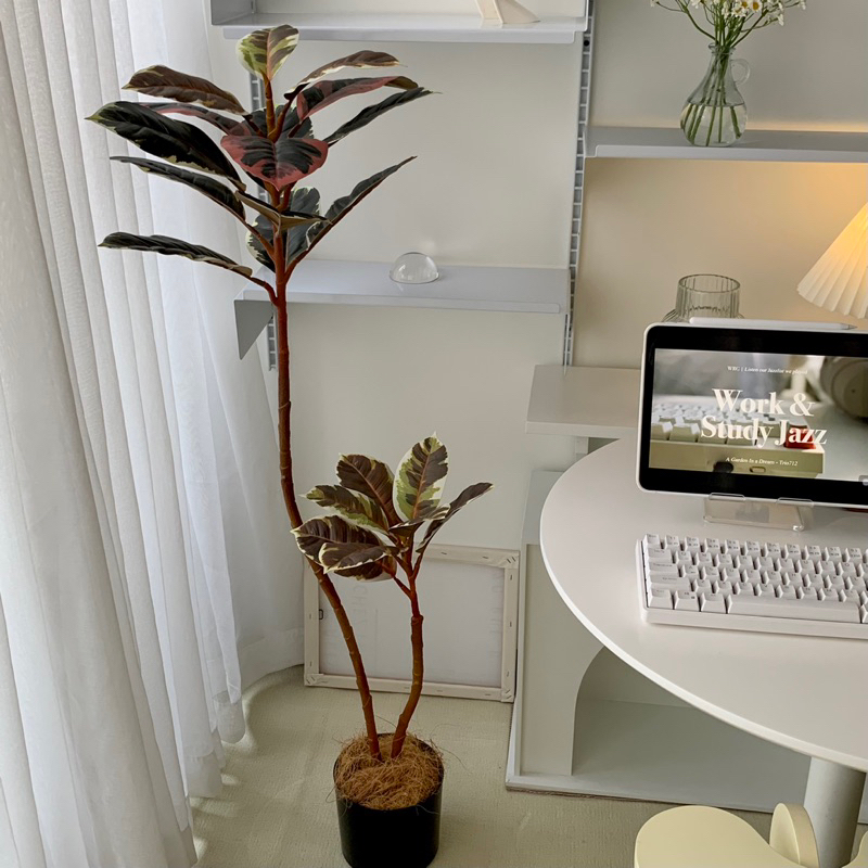 [พร้อมส่ง] Jnihouse : ต้นยางอินเดียประดิษฐ์ (Rubber Plant)(Tree)