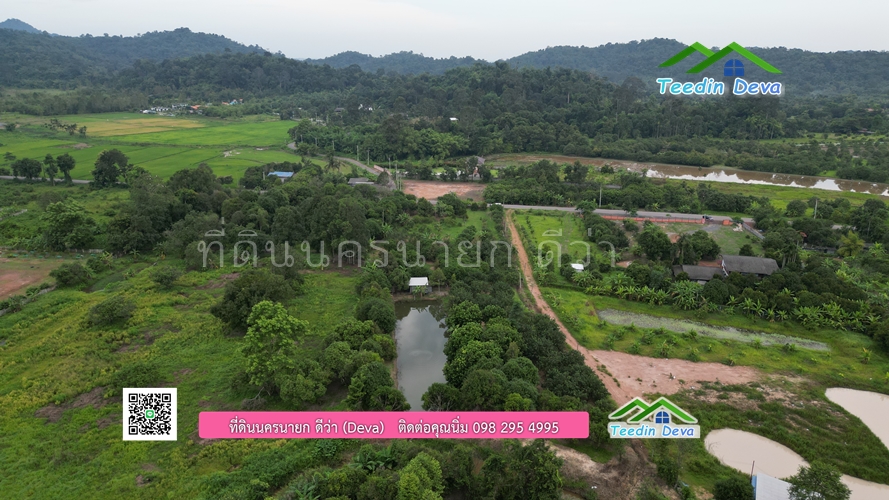 ขายที่ดินสวนผลไม้ (โฉนดครุฑแดง) เนื้อที่ 5 ไร่ 46.5 ตร.ว.