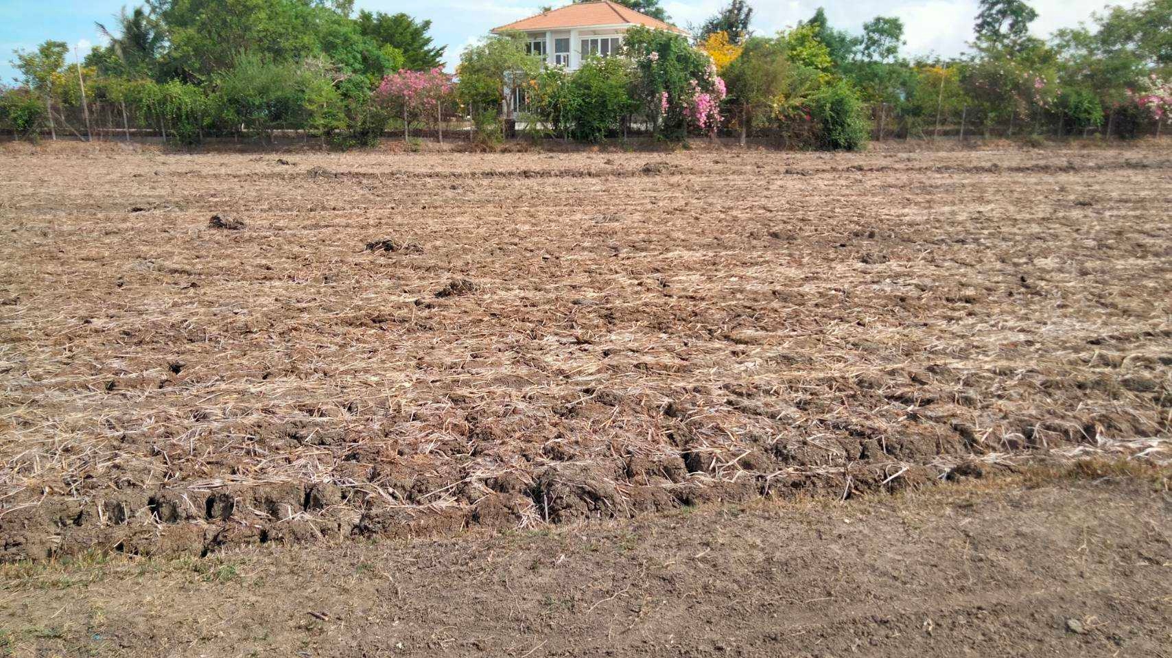 ขายที่ดินเปล่าทำเลสวย ใกล้หาดเจ้าสำราญ เพชรบุรี (N.724)