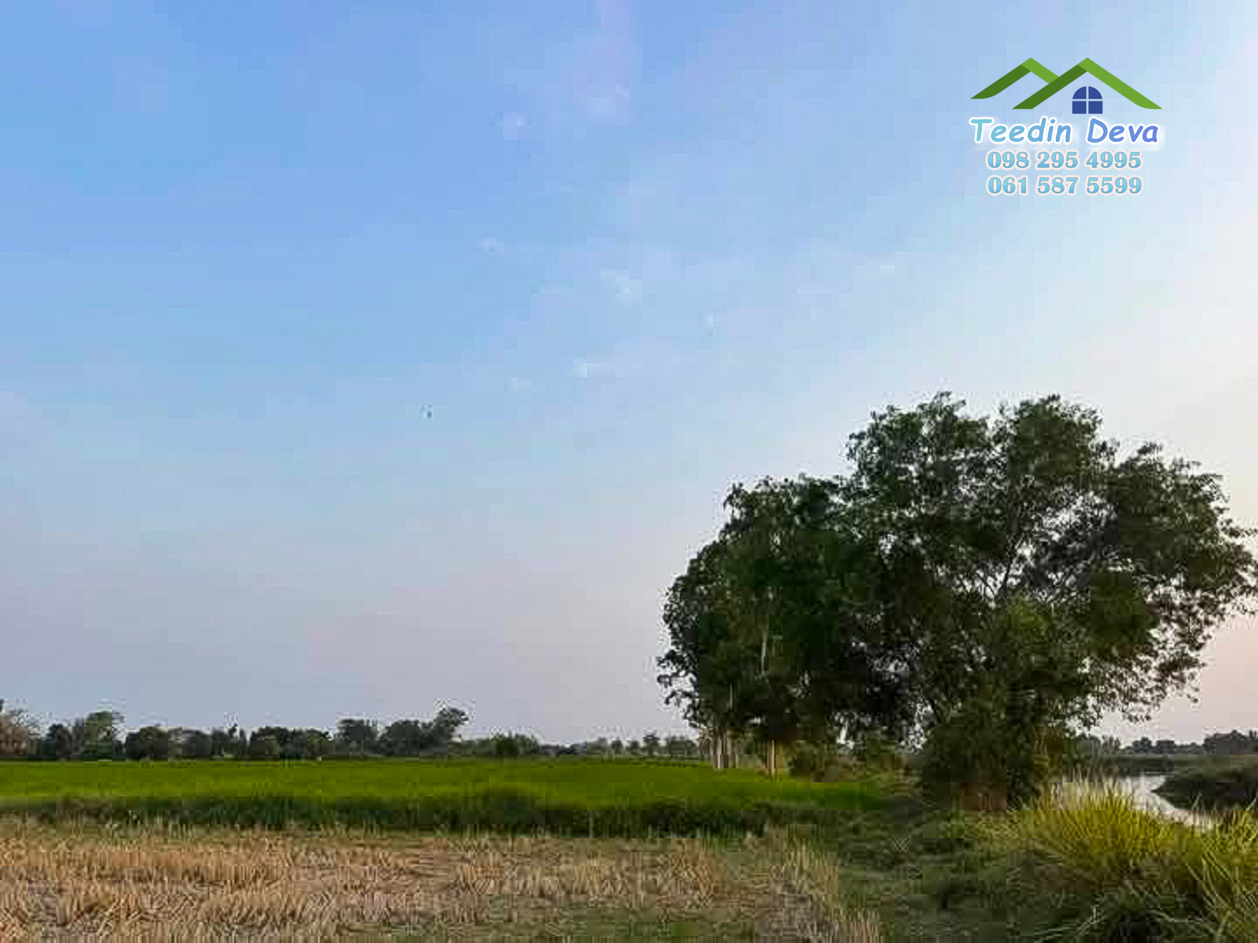 ขายที่ดินนครนายก 1 ไร่ ราคาถูก ลดราคาด่วนๆ ขายไร่ละ 9.5 แสน ต.ศรีนาวา อ.เมือง จ.นครนายก