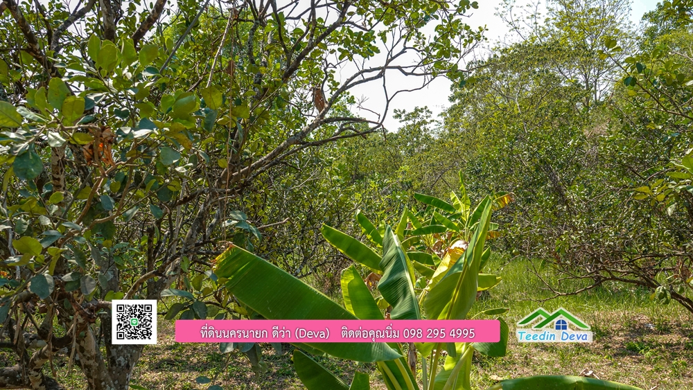 ขายสวนผลไม้ ทำเลดี ใกล้แหล่งท่องเที่ยว ขนาด 1-2-94 ไร่ ต.สาริกา อ.เมือง จ.นครนายก
