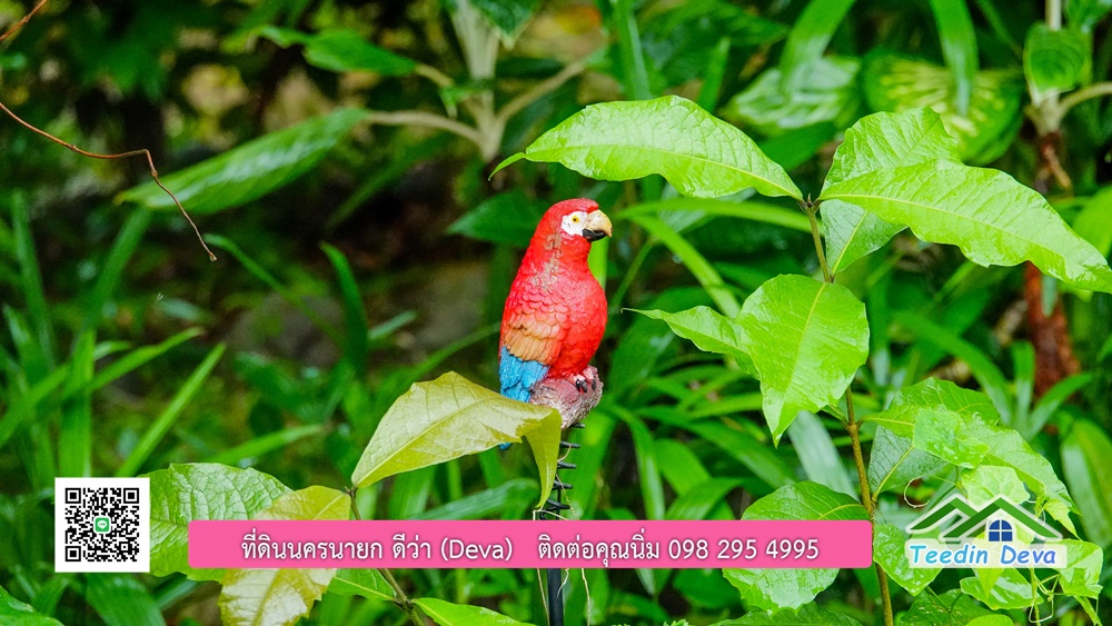 บ้านไทยประยุกต์ พร้อมสวนผลไม้ พืชผักสวนครัว ใกล้กับตัวเมืองนครนายก