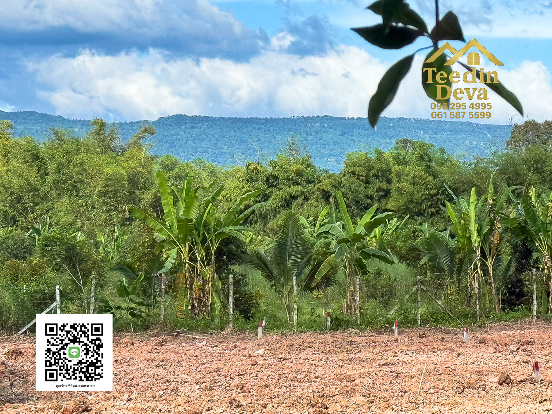 🌄 บ้านสวนผลไม้ในฝันกลางวิวเขาใหญ่ — 2 ไร่ 45 ตรว. ต.นาหินลาด อ.ปากพลี จ.นครนายก 🍃