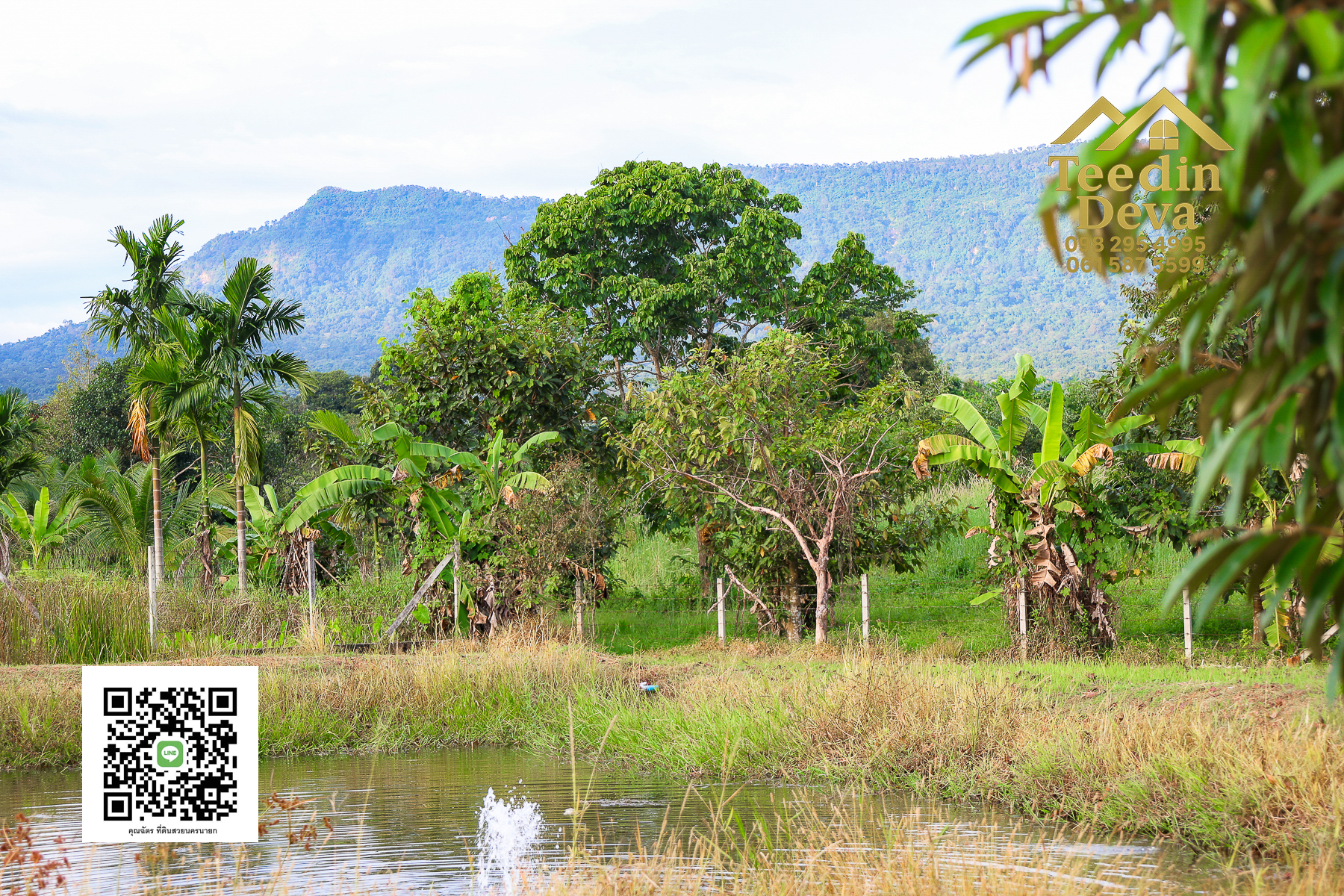 💭 ตื่นเช้าลมเย็น เห็นเขาใหญ่ตรงหน้า... ที่ดินสวนผลไม้ 2 ไร่ 3 งาน ต.นาหินลาด อ.ปากพลี จ.นครนายก