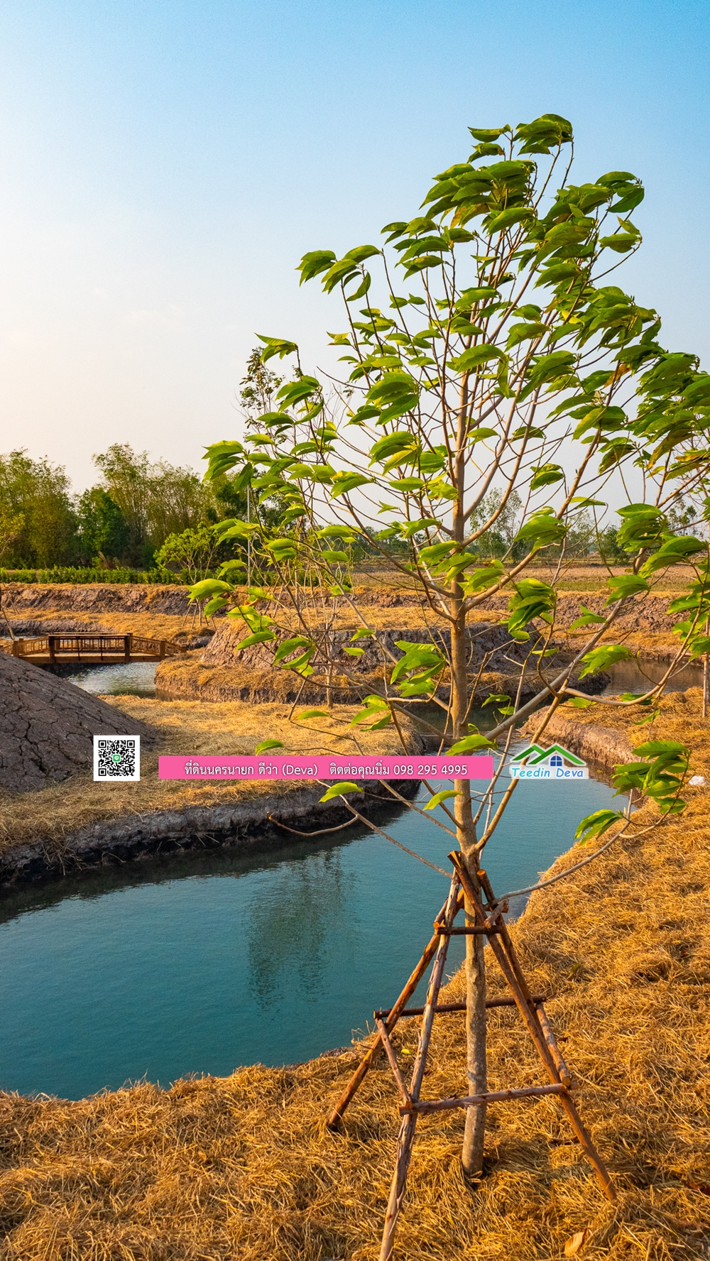 🌿 ที่ดินสวยๆ ขนาด 2 ไร่ พร้อมน้ำไฟ ดินดี น้ำดี อากาศดี มีเพื่อนบ้าน ณ ต.ปากพลี อ.ปากพลี จ.นครนายก