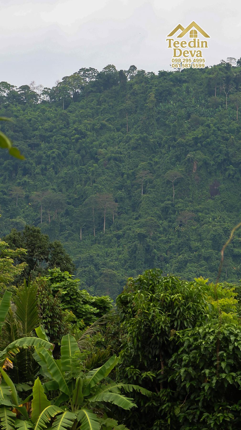 🌤 วิวภูเขาโอบล้อม ความสงบโอบใจ... ที่ดินสวนผลไม้ 120 ตร.ว. ต.หินตั้ง อ.เมือง จ.นครนายก 💛