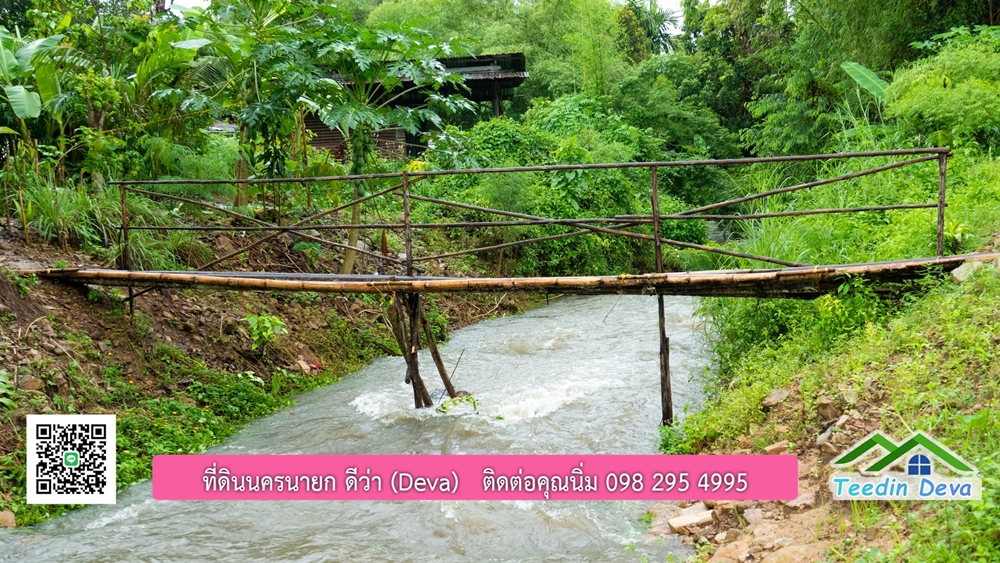 ที่ดินนครนายก สวนผลไม้ขนาดเล็ก 155 ตร.ว. ด้านหลังติดลำธาร