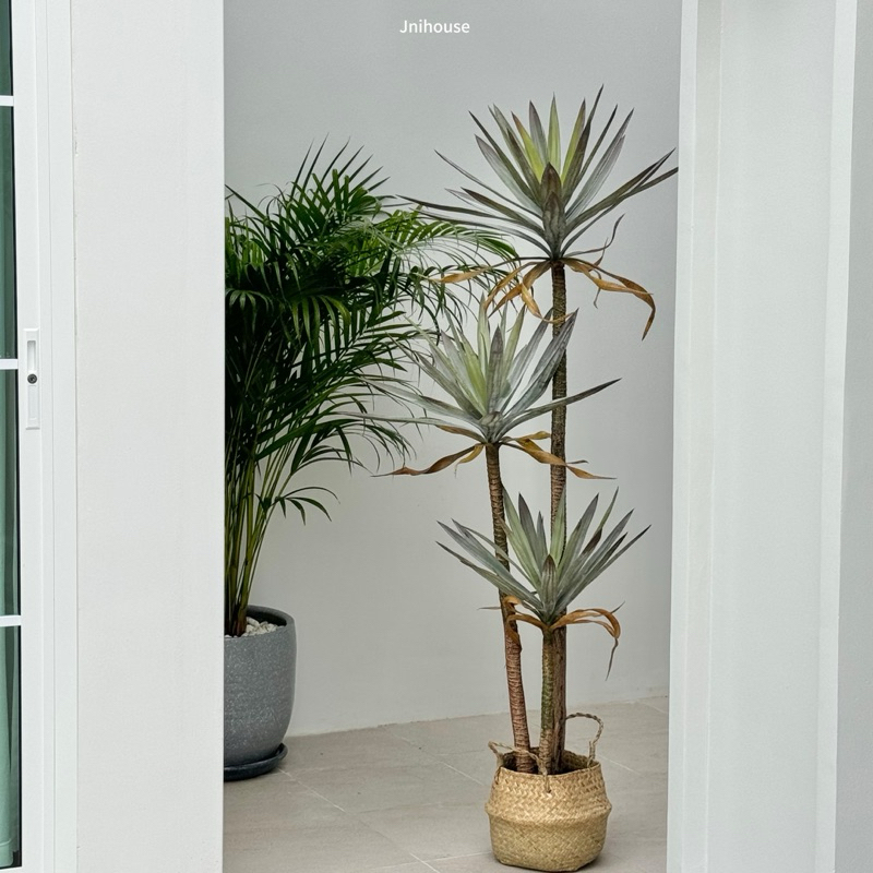 [พร้อมส่ง] Jnihouse : ต้นจันผาประดิษฐ์ สูง 160 cm (Tree)