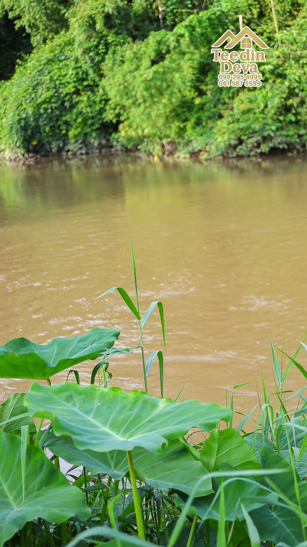 ที่ดินนครนายก ติดแม่น้ำ เนื้อที่ 4 ไร่ 2 งาน 64 ตรว. ต.สาริกา อ.เมือง จ.นครนายก