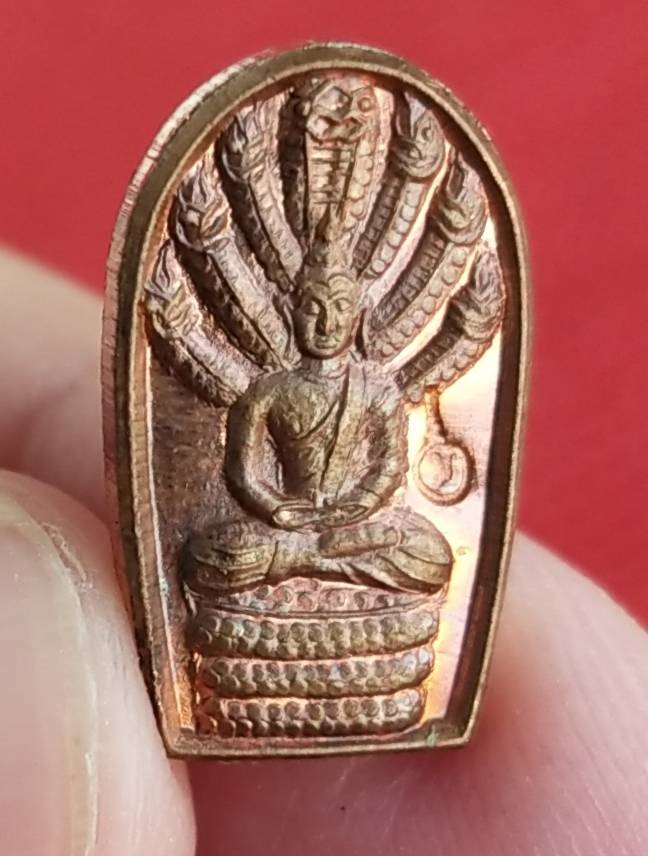 พระนาคปรก ครูบาเจ้าศรีวิไชย รุ่น เจริญพร หลวงปู่ทอง วัดพระธาตุจอมทอง จ.เชียงใหม่ ปี 2556 (พระวิปัสสนากรรมฐาน ระดับแนวหน้าของโลก)(พระประจำวันเสาร์,พระประจำ ปีมะโรง)