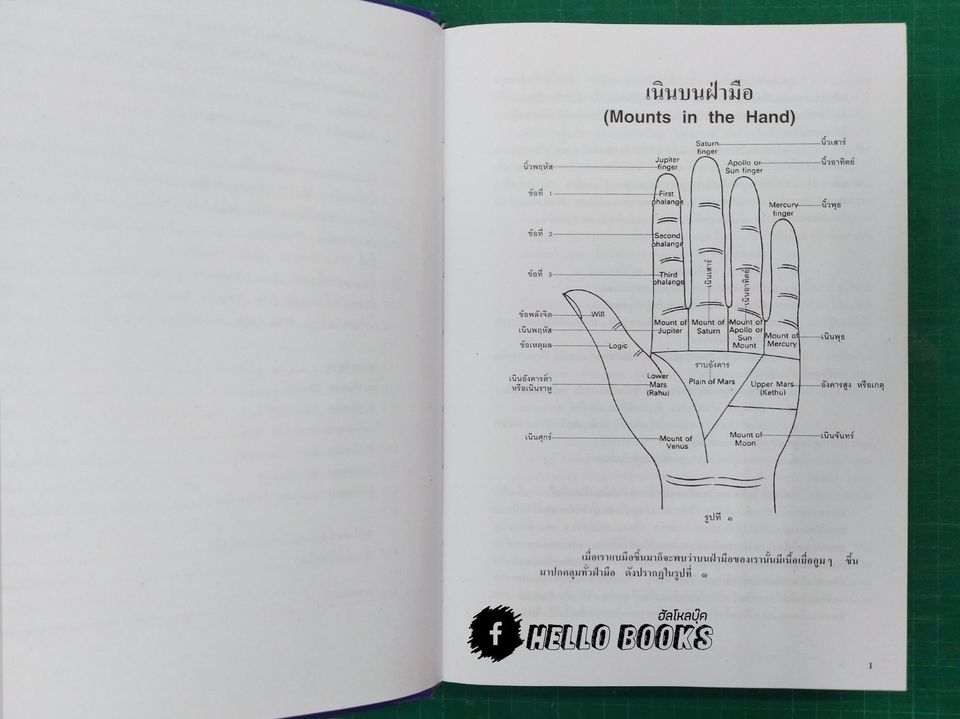 ลายมือลายแทงชีวิต