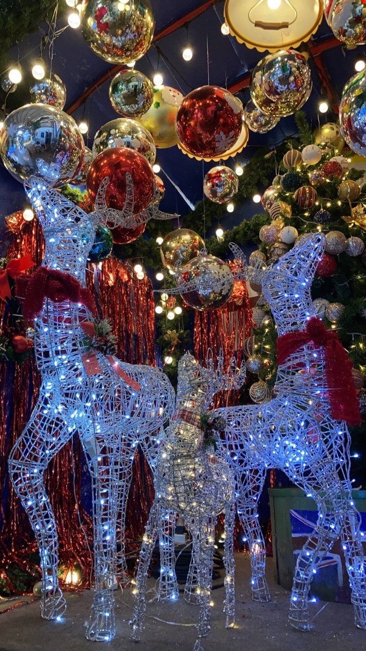 แบบของตกแต่งคริสต์มาสยอดนิยม สินค้าคัดสรรคุณภาพสีสันในการตกแต่งเทศกาล