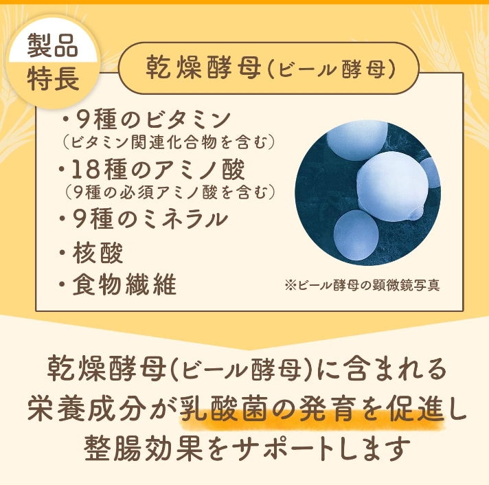 Asahi Ebios tablets 504 เม็ด สำหรับผู้ที่มีนิสัยทานอาหารไม่เป็นปกติ ไม่เป็นเวลา ทานอาหารแล้วปวดท้องเป็นโรคเกี่ยวกับกระเพาะอาหาร