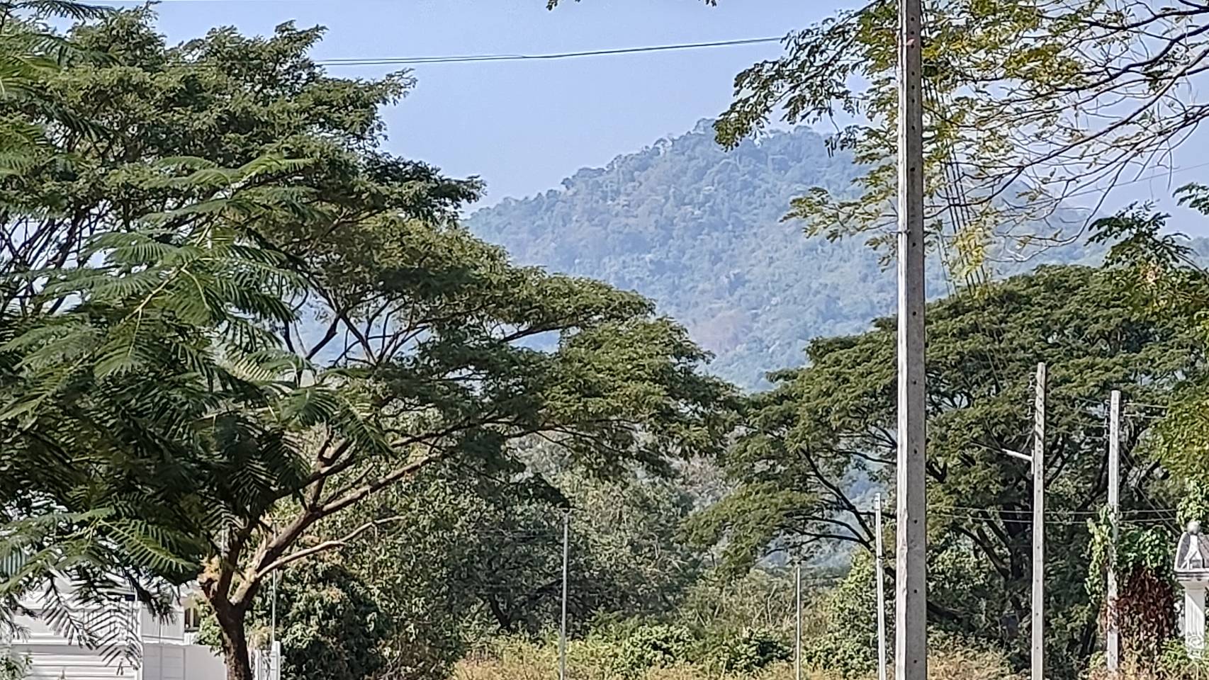 ที่ดินนครนายก บ้านสวย บรรยากาศร่มรื่น วิวเขาใหญ่ สร้างมาประมาณ 2 ปี ณ ต.สาริกา อ.เมือง จ.นครนายก