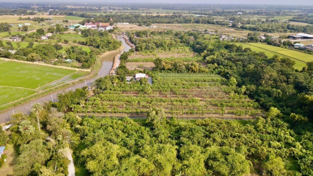 🔥 ที่ดินสวย ทำเลดี ที่ดินเชิงเกษตร ต.หนองจระเข้ อ.หนองแค จ.สระบุรี