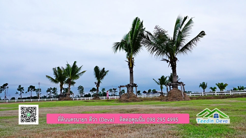 ที่ดินนครนายก โครงการ mountain 6