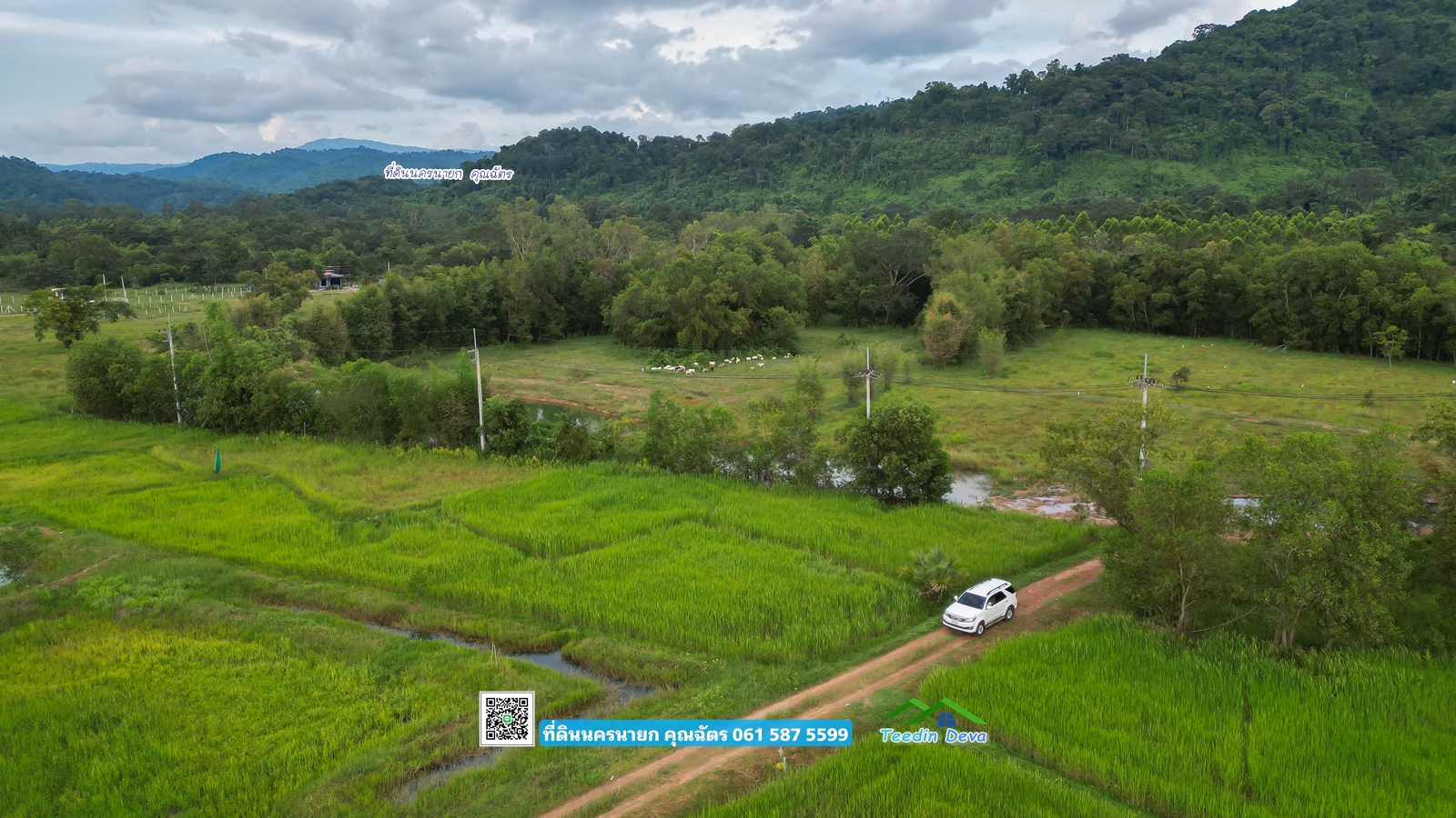 ที่ดินแปลงสวย ราคาไม่แพง ⭐ เหมาะซื้อเก็บเก็งกำไร 1 ไร่ หนองแสง อ.ปากพลี จ.นครนายก