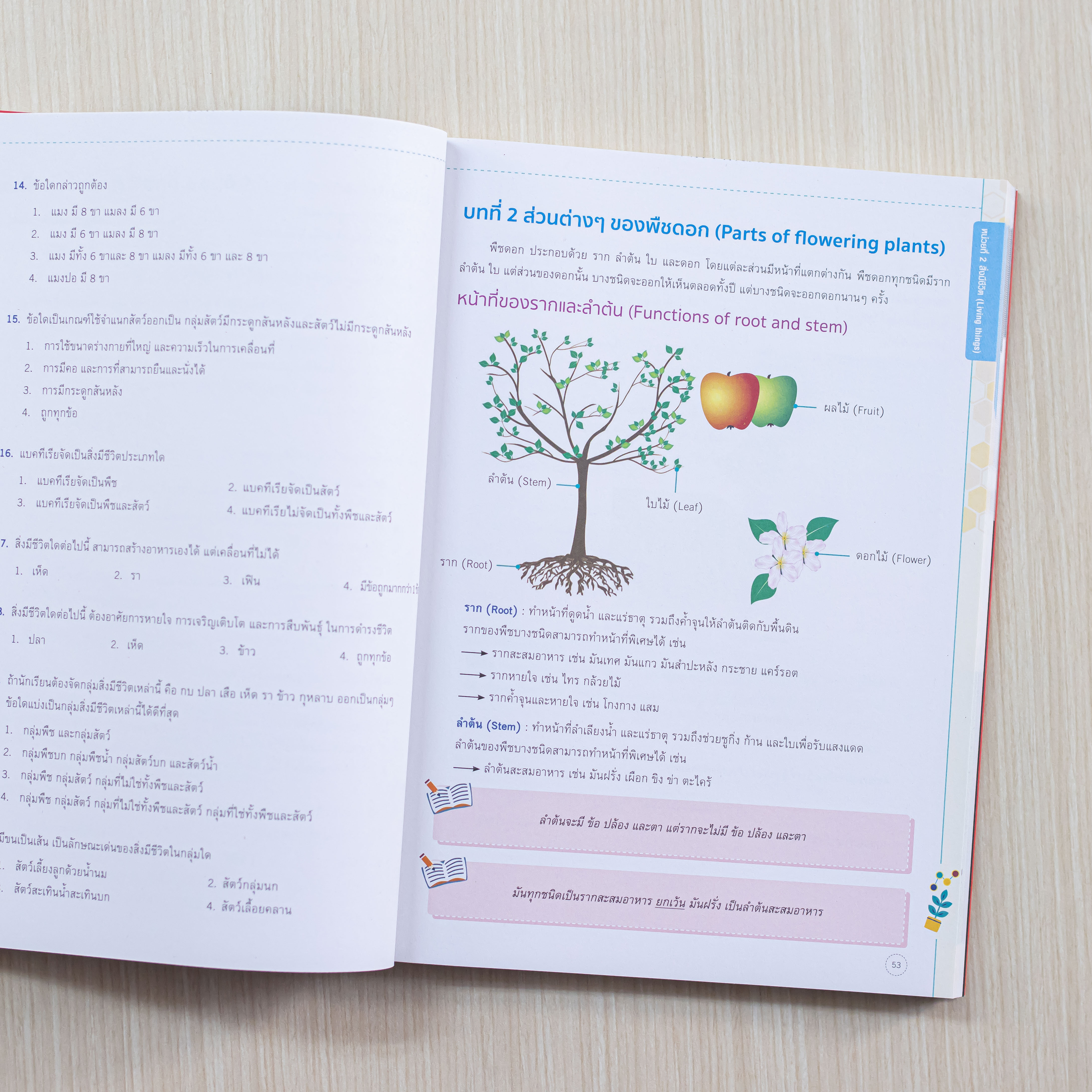 Infopress (อินโฟเพรส) หนังสือ สรุปหลักคิดพิชิตสอบ วิทยาศาสตร์ ป.4 มั่นใจเต็ม 100 - 72882