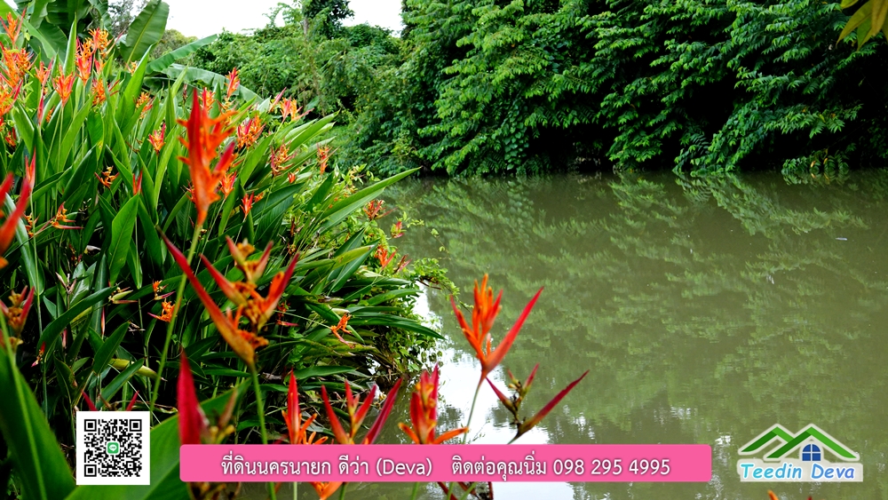 ขายรีสอร์ท ใกล้ โรงเรียนนายร้อย จปร. นครนายก พื้นที่ 3 ไร่ ทำเลดี ด้านหน้าติดถนนลาดยาง ด้านหลังลำคลองธรรมชาติ