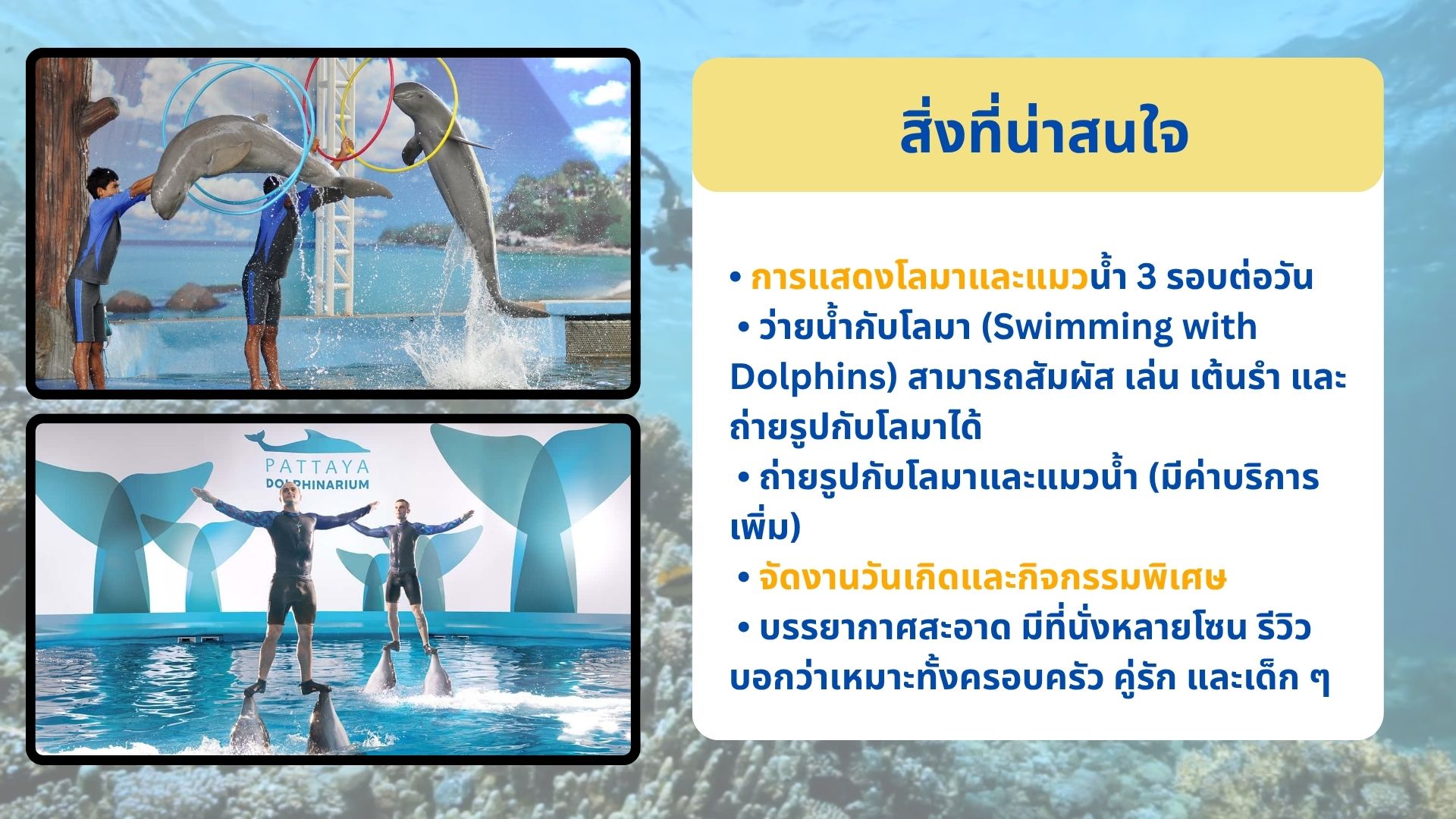 ห้องราคาถูกพัทยาที่พักบางเสร่