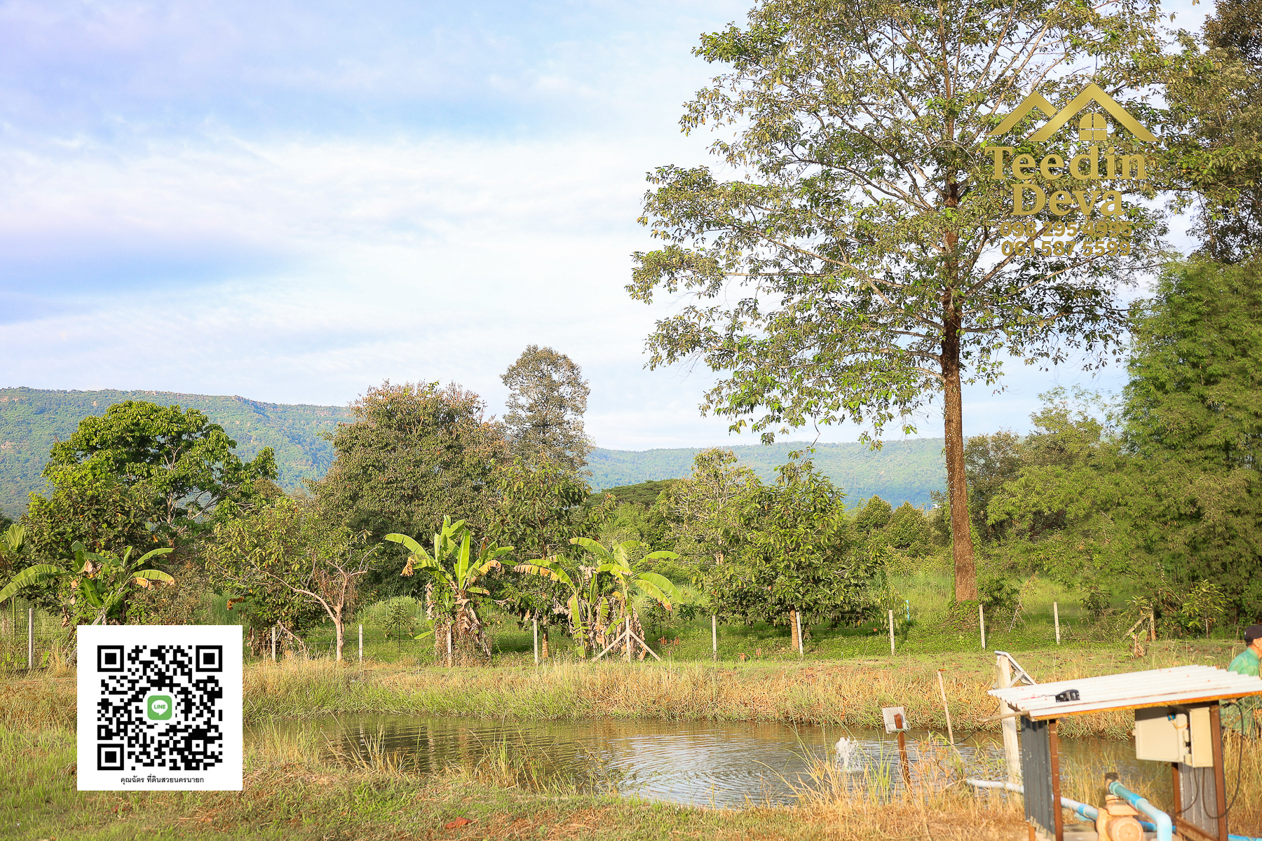 💭 ตื่นเช้าลมเย็น เห็นเขาใหญ่ตรงหน้า... ที่ดินสวนผลไม้ 2 ไร่ 3 งาน ต.นาหินลาด อ.ปากพลี จ.นครนายก