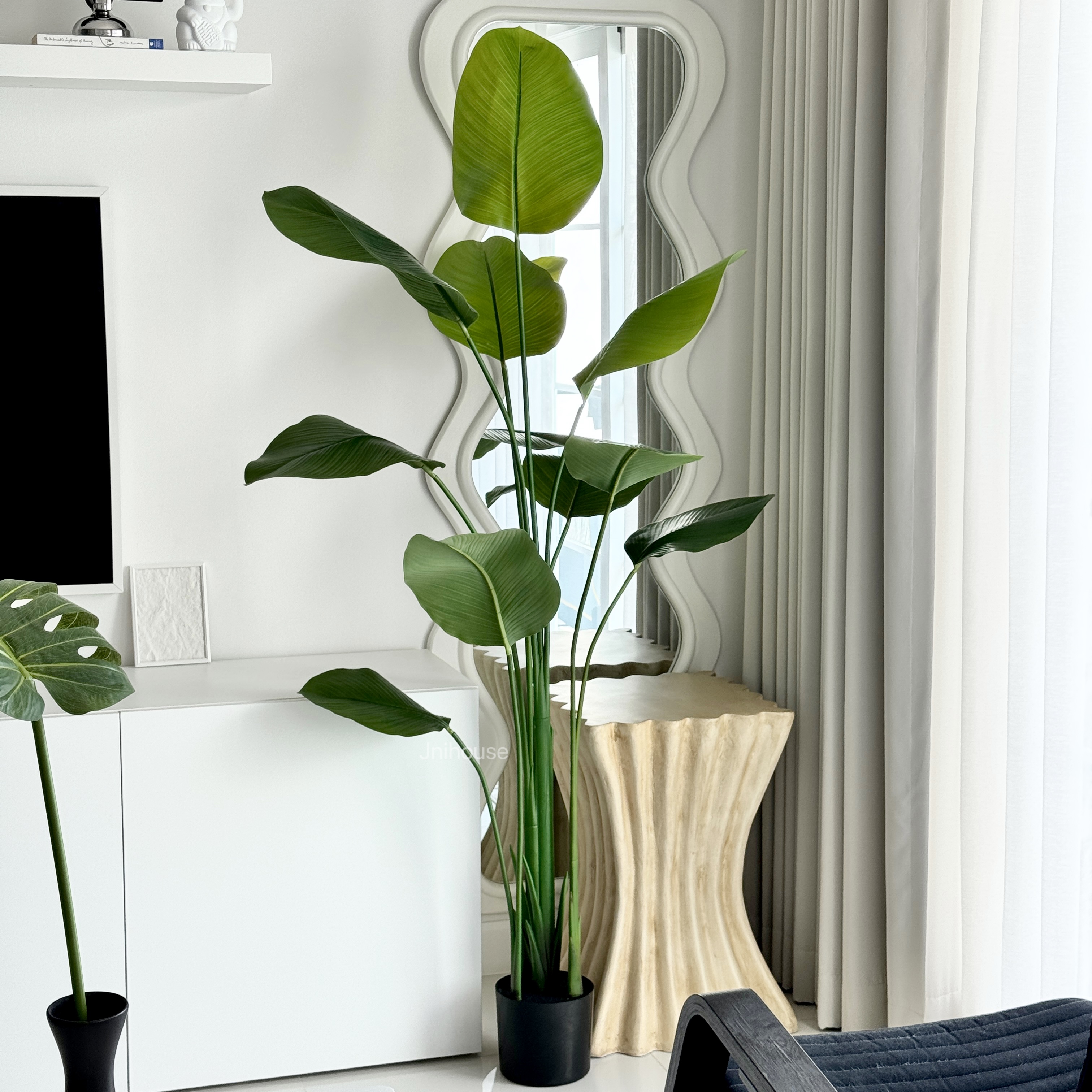 [พร้อมส่ง] Jnihouse : ต้นปักษาสวรรค์ประดิษฐ์(Tree) สูง 170 cm (ใบอ่อน)