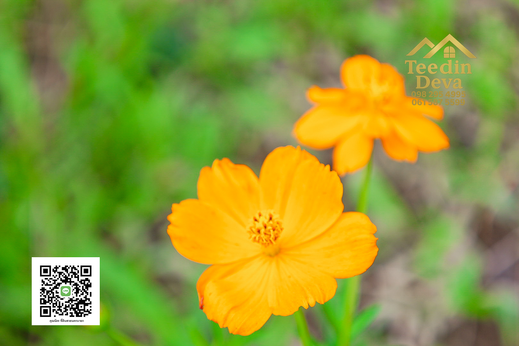 ที่ดินนครนายก วิวภูเขา ติดลำธาร ใกล้เขาใหญ่ ขนาด 1 ไร่ ทำเลดี ต.นาหินลาด อ.ปากพลี จ.นครนายก