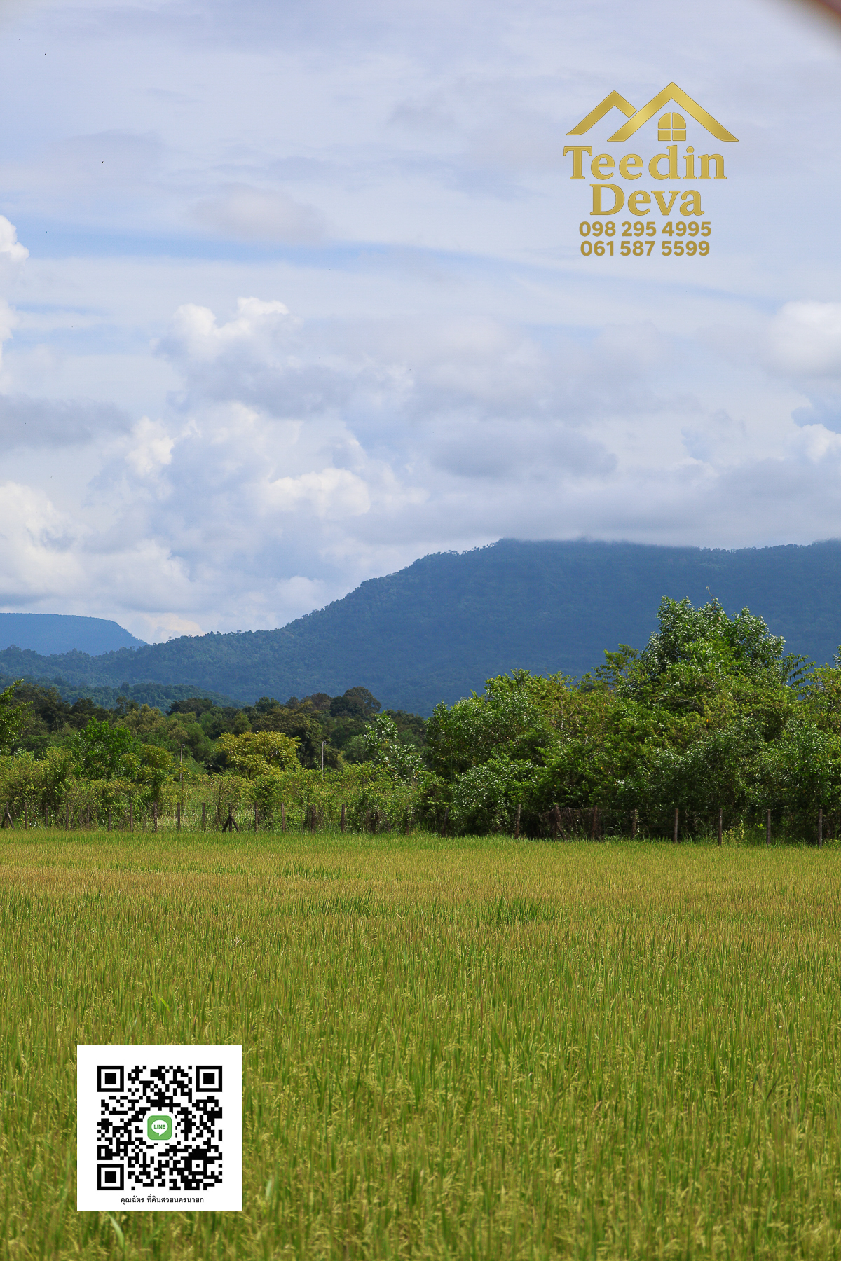 🏞️ “ที่ดินวิวเขาสุดตระการตา ใกล้เขาใหญ่เพียง 10 นาที — นาหินลาด อำเภอปากพลี จังหวัดนครนายก”