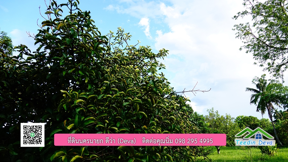 (ðī āļāļīāļāļāļēāļĢāļāļēāļĒ) āļāļĩāđāļāļīāļāļāļāļĢāļāļēāļĒāļ āļāļīāļāļĨāļģāļāļēāļĢ āļāļĨāļđāļāļāļĨāđāļĄāđ 8 āđāļĢāđ 2 āļāļēāļ āļ.āļŠāļēāļĢāļīāļāļē āļ.āđāļĄāļ·āļāļ āļ.āļāļāļĢāļāļēāļĒāļ