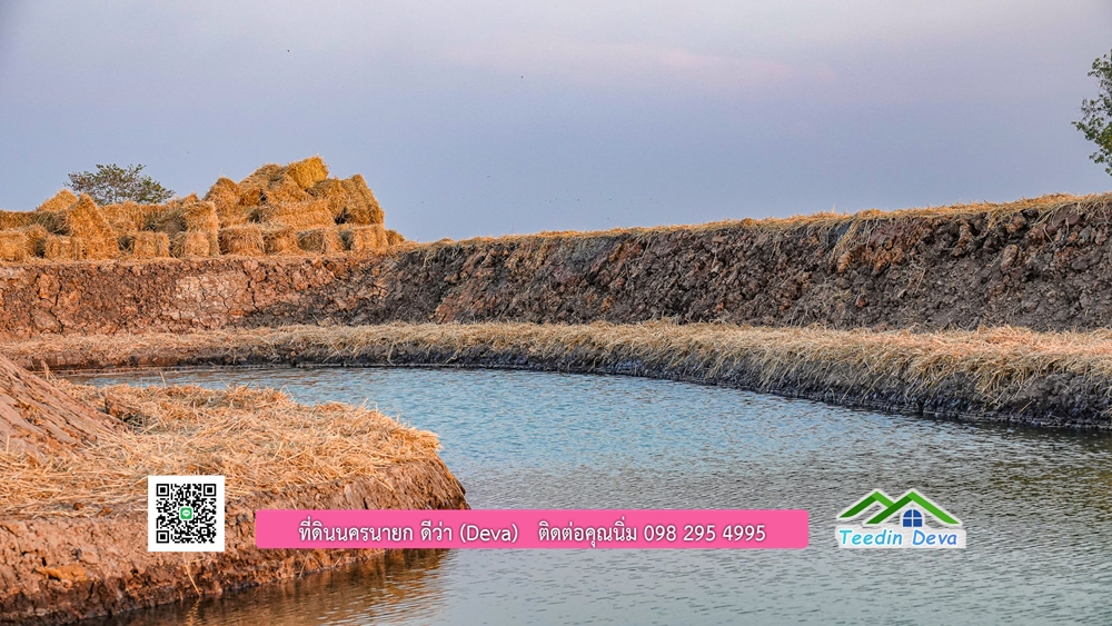 🌿 ที่ดินสวยๆ ขนาด 2 ไร่ พร้อมน้ำไฟ ดินดี น้ำดี อากาศดี มีเพื่อนบ้าน ณ ต.ปากพลี อ.ปากพลี จ.นครนายก