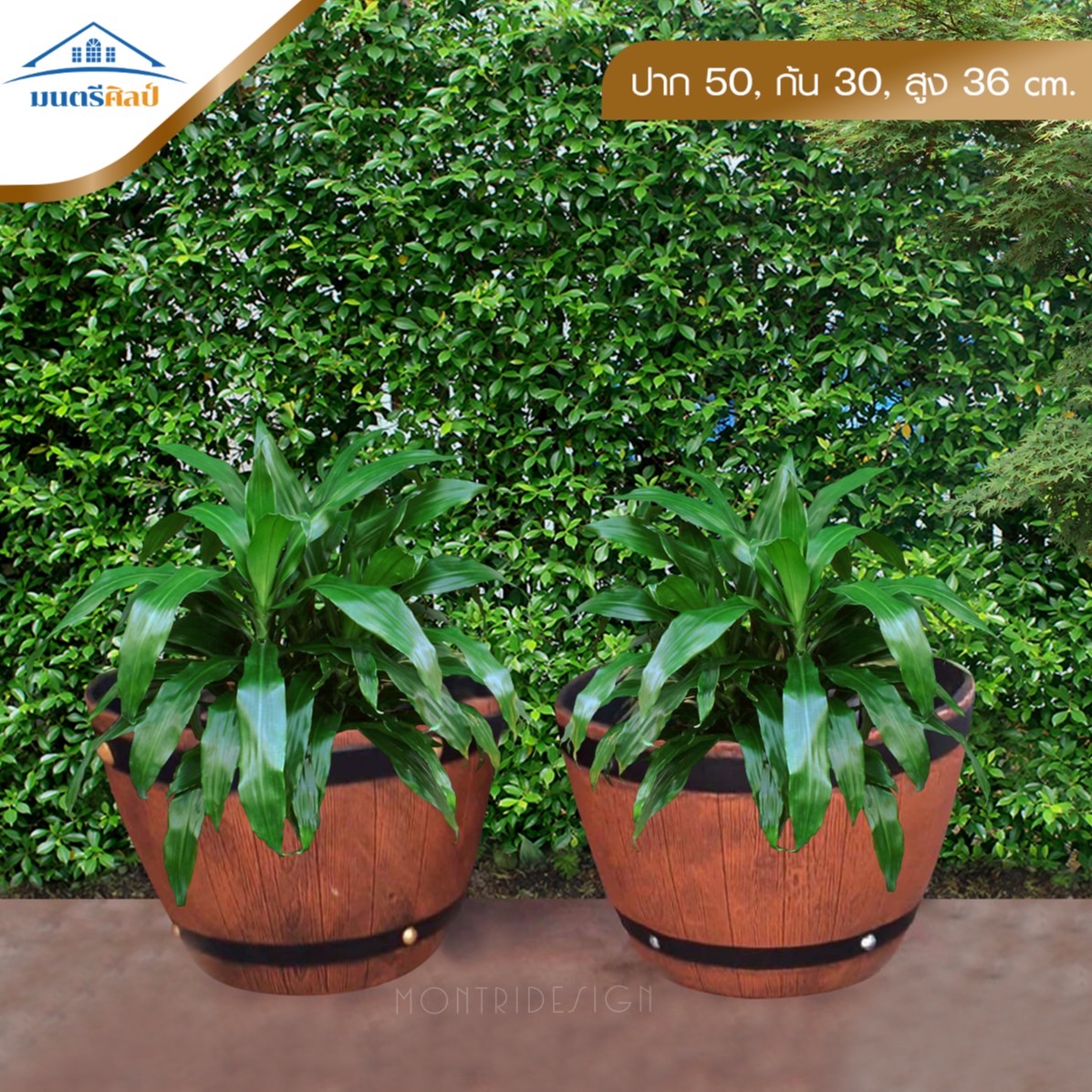 กระถางดอกไม้ กระถางปูนลายไม้ งาน DIY รุ่น EF2 ขนาด ปาก 50 cm. ก้น 30 cm. สูง 36 cm.