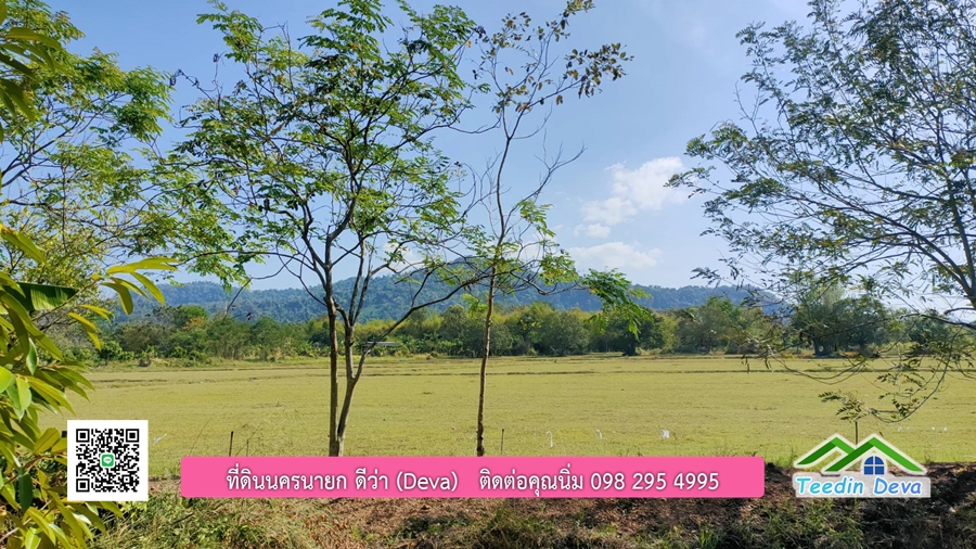 บ้านสวนผลไม้ สามารถเก็บผลผลิตได้เลย พื้นที่ 2 ไร่ 1 งาน อ.ปากพลี จ.นครนายก