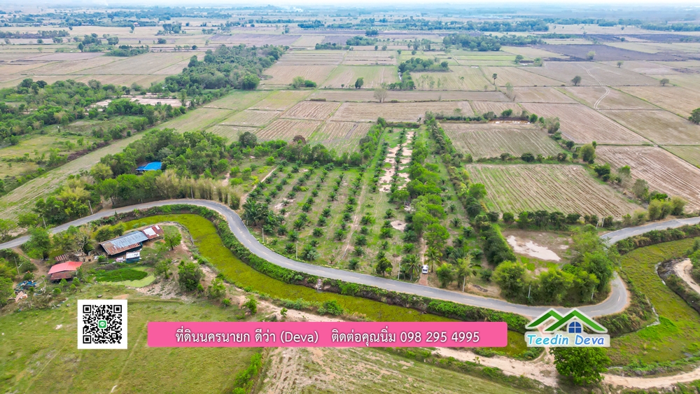 ขายที่ดิน สวนปาล์ม แปลงสวย ทำเลดี เนื้อที่ 11-3-8 ไร่ ให้ผลผลิตแล้ว อ.ปากพลี จ.นครนายก