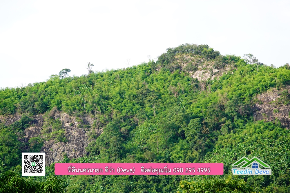 ที่ดินนครนายก แปลงเล็ก วิวภูเขา ได้ทั้งสดและเงินผ่อน ต.เขาพระ อ.เมือง จ.นครนายก