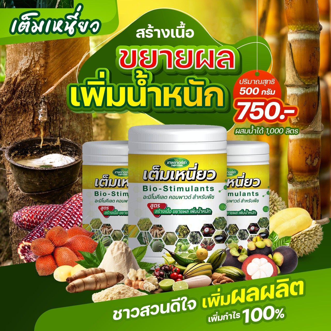 เทพเทอร์ร่า เต็มเหนี่ยว 1กะปุ๊ก ตรึ่งกิโลกรัม ผสมน้ำได้ 1000ลิตร สร้างเนื้อ ขยายผล กรดอะมิโนคีเลต คอมพาวด์ สร้างฮอร์โมน ส่งเสริมการเจริญเติบโต ชิ้น 1