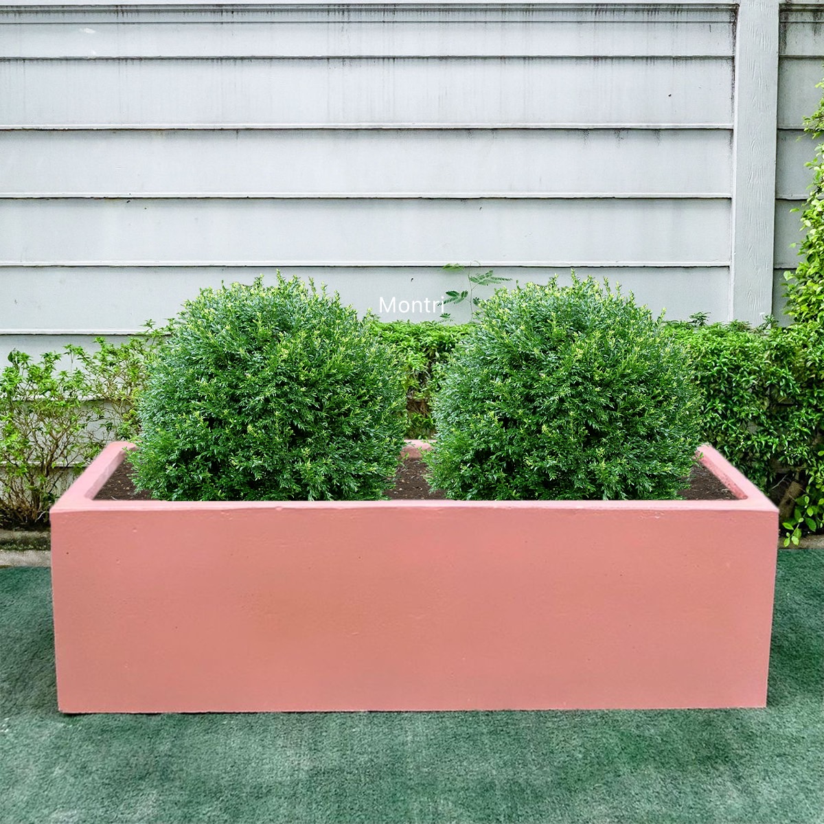 กระถางปูน กระถางทรงรางยาว ยกชุด 10 ใบ ลงสีคุณภาพพร้อมเคลือบเงาสามารถวางได้ทั้งกลางแจ้งและในร่ม ขนาด 30*100* cm. วัสดุเป็นปูน