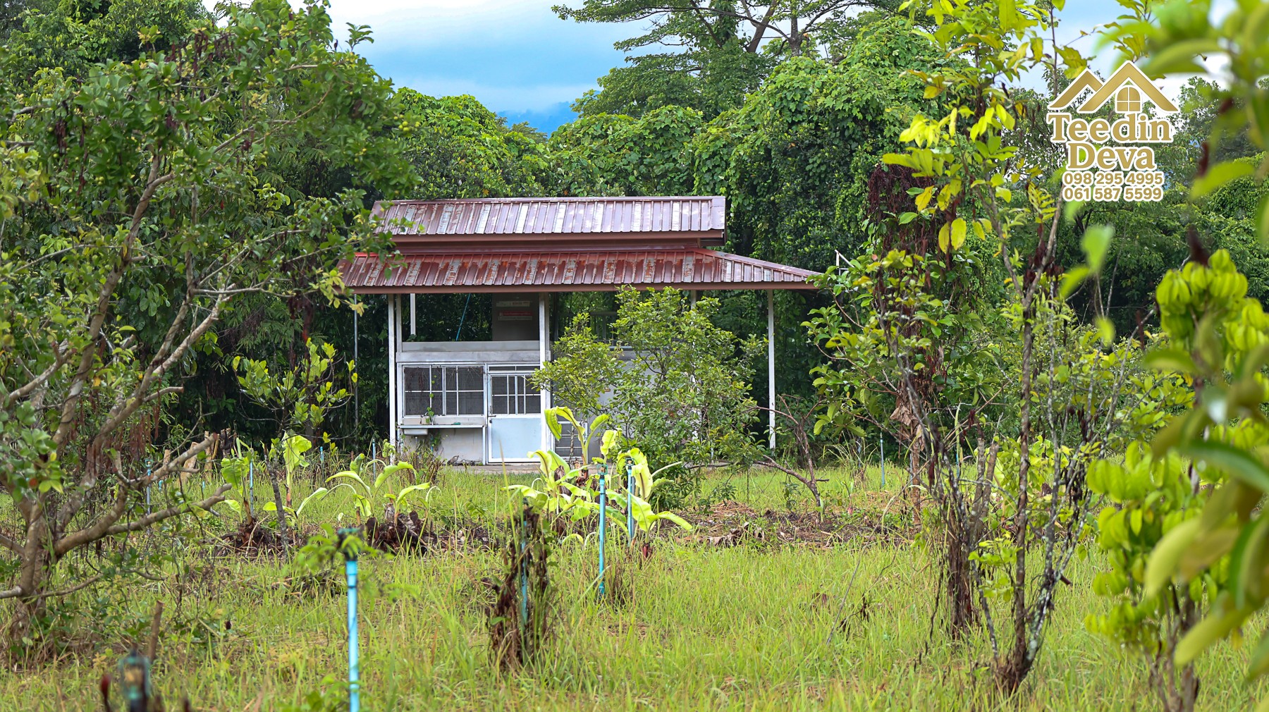 🌤 วิวภูเขาโอบล้อม ความสงบโอบใจ... ที่ดินสวนผลไม้ 120 ตร.ว. ต.หินตั้ง อ.เมือง จ.นครนายก 💛