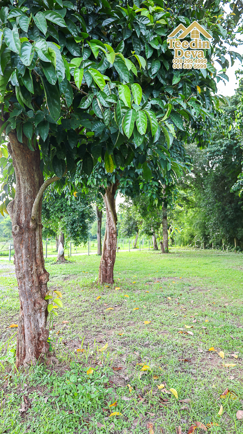 ที่ดินนครนายก ติดแม่น้ำ เนื้อที่ 4 ไร่ 2 งาน 64 ตรว. ต.สาริกา อ.เมือง จ.นครนายก