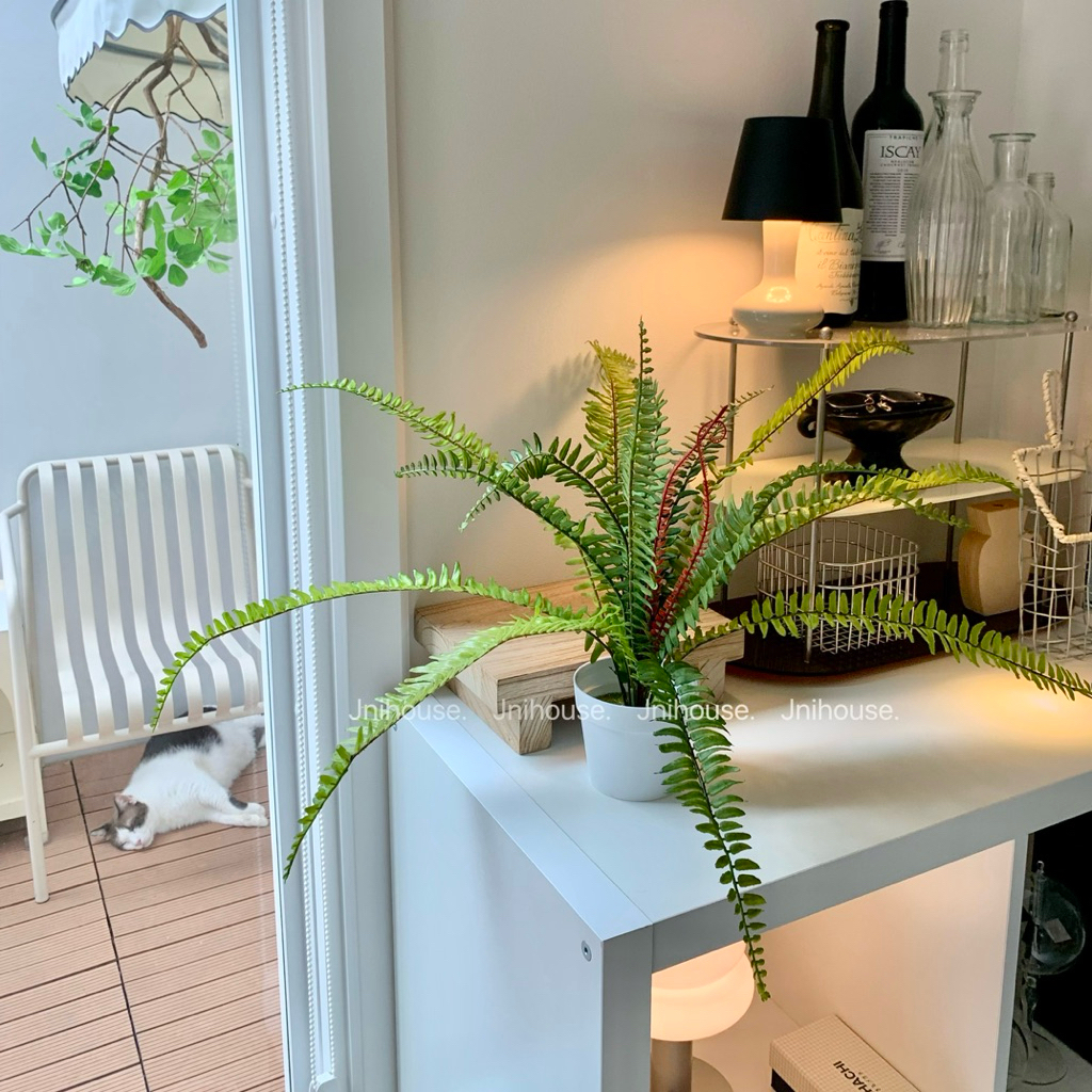 [พร้อมส่ง] Jnihouse : ต้นเฟิร์นบอสตัน ต้นไม้ประดิษฐ์ (Tree