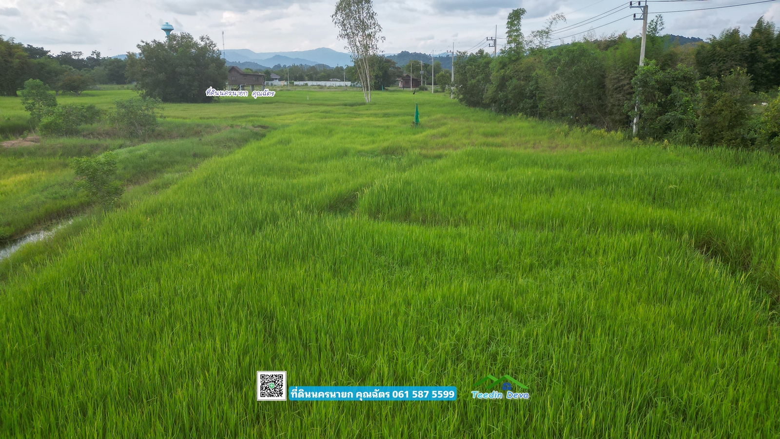 ที่ดินแปลงสวย ราคาไม่แพง ⭐ เหมาะซื้อเก็บเก็งกำไร 1 ไร่ หนองแสง อ.ปากพลี จ.นครนายก