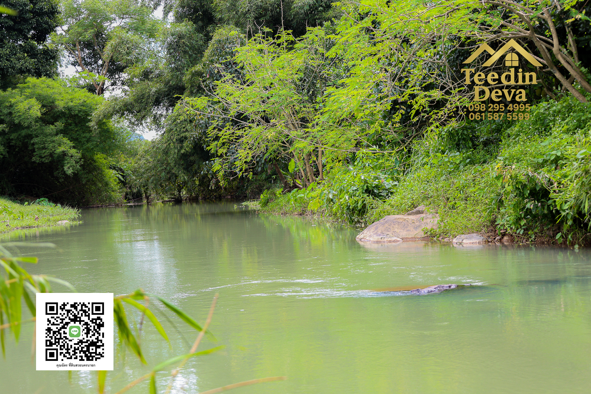 🏞️ สัมผัสเสียงน้ำไหล เคียงข้างขุนเขา — ที่ดิน 1 ไร่ ต.นาหินลาด อ.ปากพลี จ.นครนายก 🌿