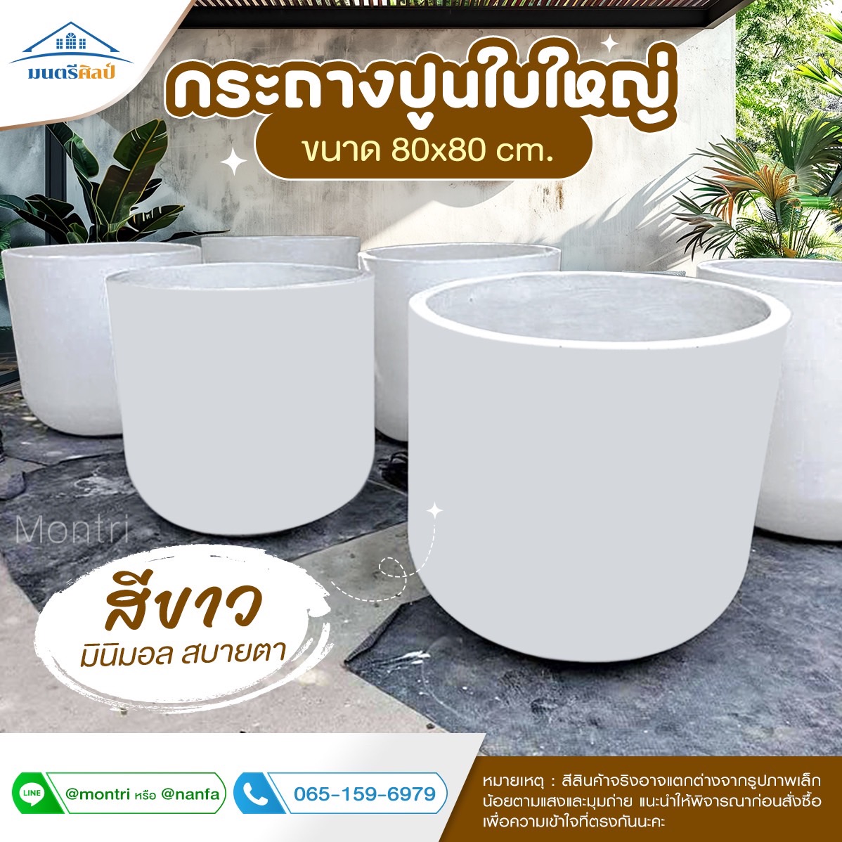 กระถางปูนใหญ่ กระถางมินิมอล พิเศษขนาดใหญ่พิเศษ 80x80 cm หายากในท้องตลาด ตอบโจทย์สำหรับต้นไม้ใหญ่และรากลึก