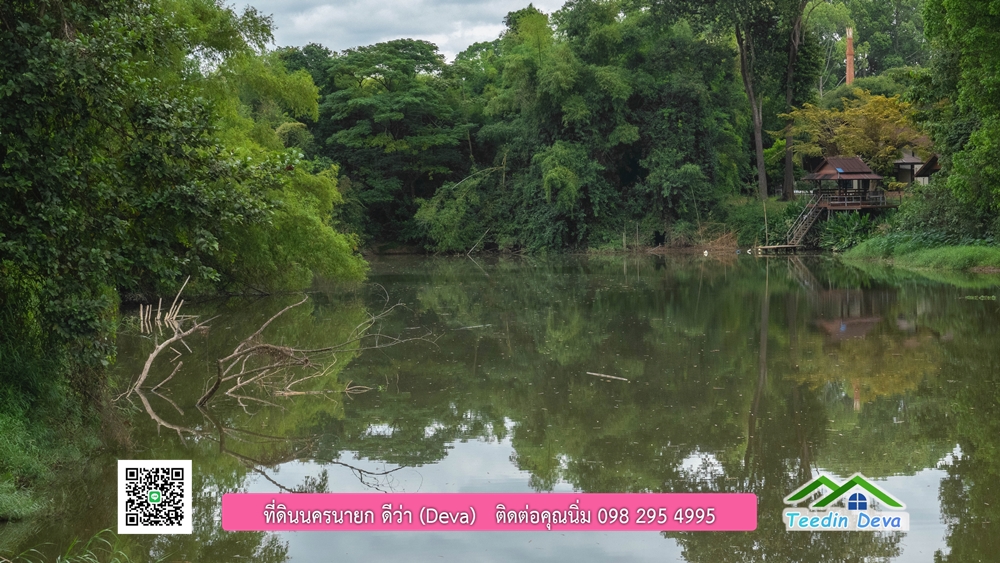 ที่ดินนครนายก ติดแม่น้ำ 14 ไร่ พื้นที่ติดแม่น้ำ 400 เมตร ชมลำธารสวยๆ บรรยากาศสบายๆ ต.สาริกา อ.เมือง จ.นครนายก