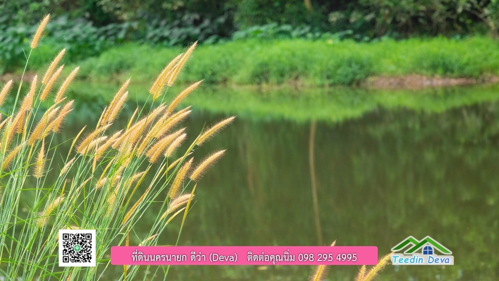 ที่ดินนครนายก ติดแม่น้ำ 14 ไร่ พื้นที่ติดแม่น้ำ 400 เมตร ชมลำธารสวยๆ บรรยากาศสบายๆ ต.สาริกา อ.เมือง จ.นครนายก