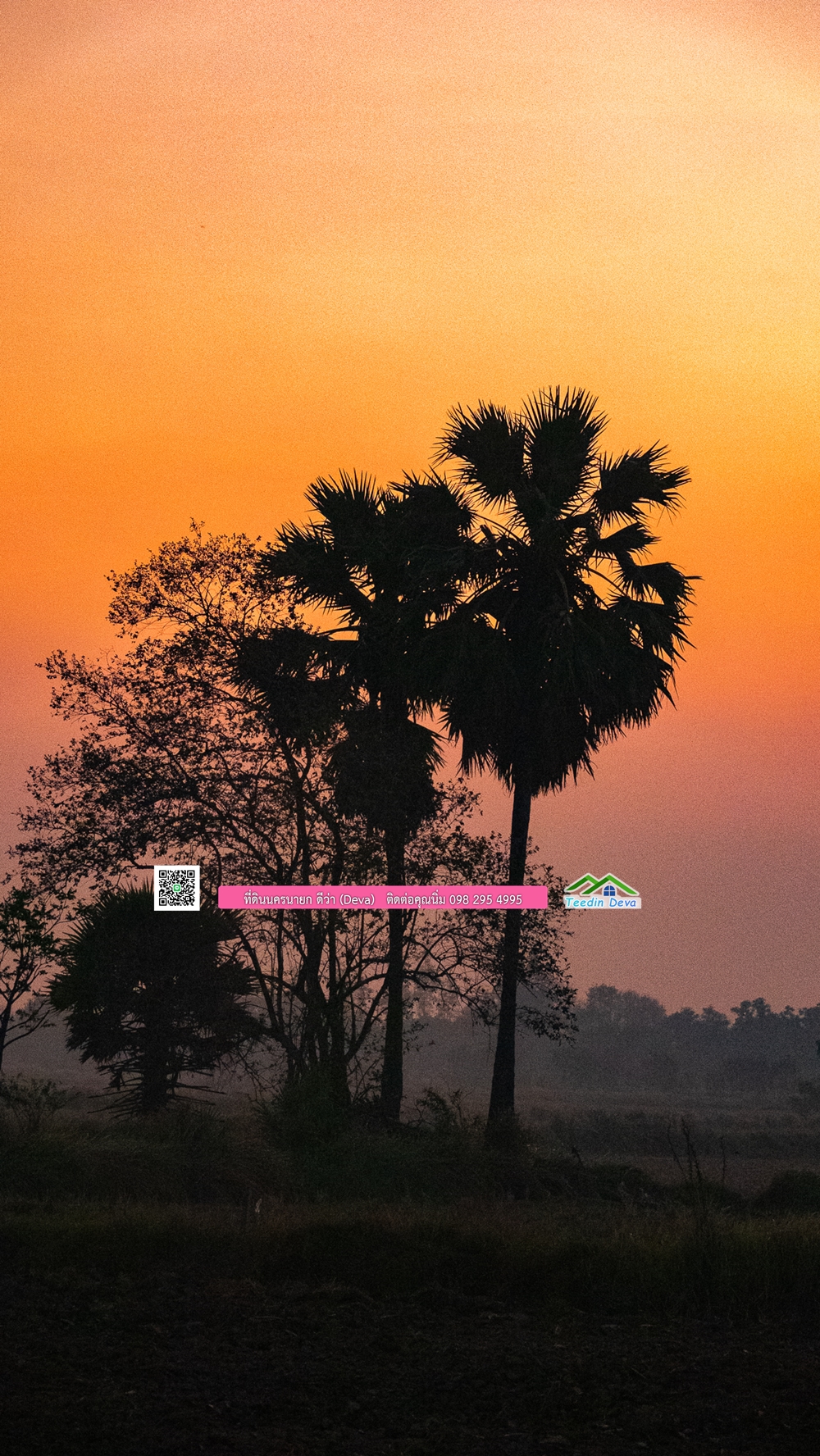 🌿 ที่ดินสวยๆ ขนาด 2 ไร่ พร้อมน้ำไฟ ดินดี น้ำดี อากาศดี มีเพื่อนบ้าน ณ ต.ปากพลี อ.ปากพลี จ.นครนายก