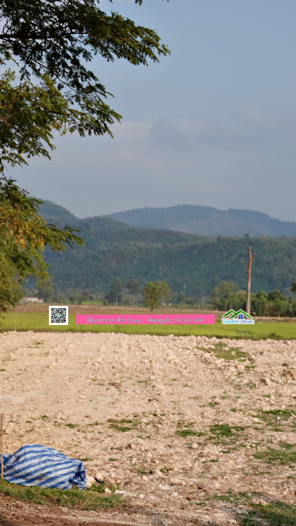 ที่ดินนครนายก วิวทุ่งนาต้นยางสวยๆ ขนาด 4 ไร่ ราคาไร่ละ 1.5 ล้าน ต.เขาเพิ่ม อ.บ้านนา จ.นครนายก