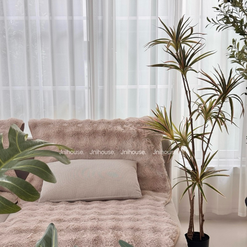 [พร้อมส่ง] Jnihouse : ต้นเข็มสามสีประดิษฐ์ (Madagascar Dragon Tree)