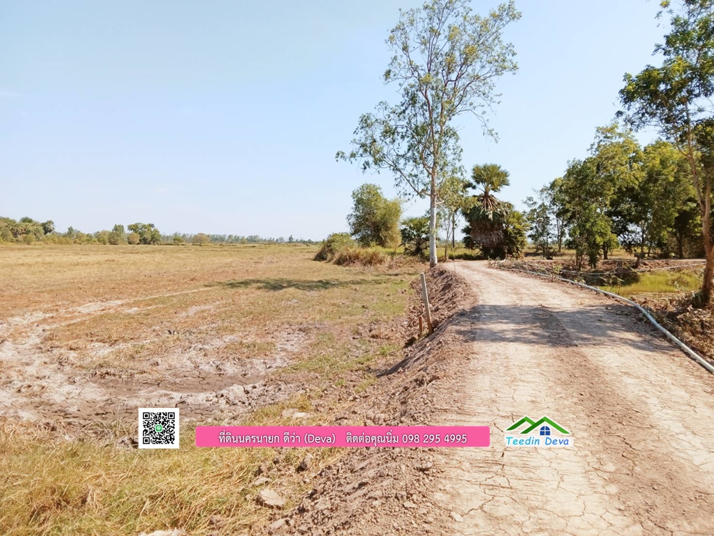 ที่ดินแปลงสวย ราคาถูก เนื้อที่ 33-1-67 ไร่ ราคาไร่ละ 250,000 บาท การเดินทางสะดวก อยู่ใกล้จุดชมนกเหยี่ยวหูดำ อ.ปากพลี จ.นครนายก