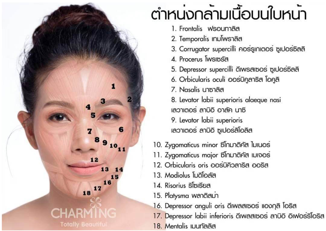 นวดหน้าขอนแก่น ,นวดปรับรูปหน้าขอนแก่น ,นวดหน้าเรียวขอนแก่น ,นวดยกกระชับหน้าขอนแก่น ,นวดกัวซาขอนแก่น ,ขอนแก่นนวดหน้า ,เบอร์ช่างนวดหน้าขอนแก่น0914166547 ,ร้านนวดหน้าเรียวนวดกระชับขอนแก่น ,ช่างนวดหน้านอกสถานที่ขอนแก่น ,ช่างนวดหน้าในอำเภอเมืองขอนแก่น นวดหน้าขอนแก่น ,นวดปรับรูปหน้าขอนแก่น ,นวดหน้าเรียวขอนแก่น ,นวดยกกระชับหน้าขอนแก่น ,นวดกัวซาขอนแก่น ,ขอนแก่นนวดหน้า ,เบอร์ช่างนวดหน้าขอนแก่น0914166547 ,ร้านนวดหน้าเรียวนวดกระชับขอนแก่น ,ช่างนวดหน้านอกสถานที่ขอนแก่น ,ช่างนวดหน้าในอำเภอเมืองขอนแก่น